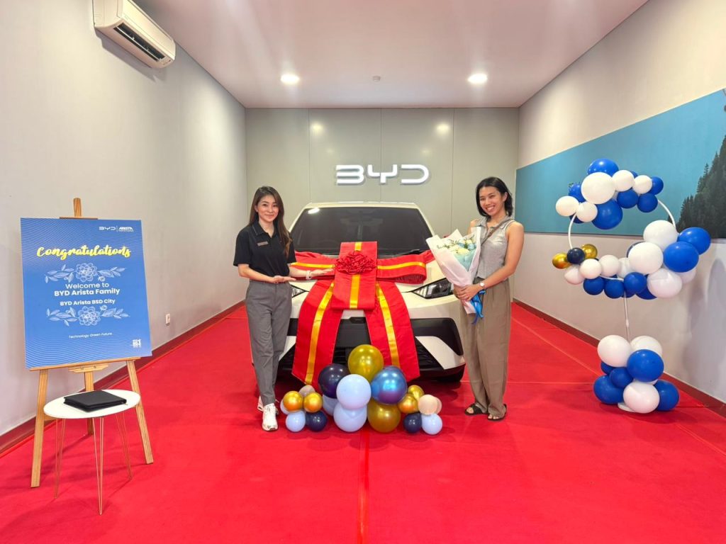 wall charger byd atto 1